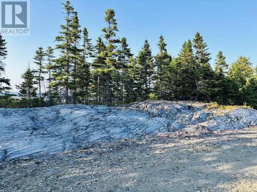 37 Tibbeys Point Road, Victoria Cove, NL - Outdoor With Body Of Water