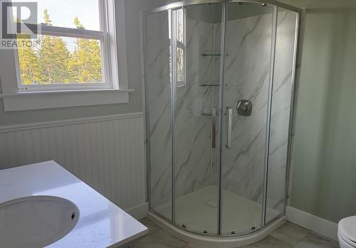 37 Tibbeys Point Road, Victoria Cove, NL - Indoor Photo Showing Bathroom