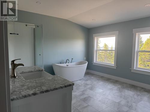 37 Tibbeys Point Road, Victoria Cove, NL - Indoor Photo Showing Bathroom