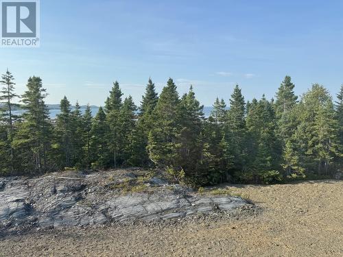 37 Tibbeys Point Road, Victoria Cove, NL - Outdoor With View