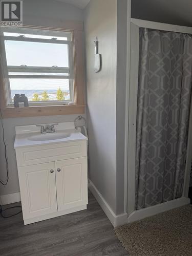 37 Tibbeys Point Road, Victoria Cove, NL - Indoor Photo Showing Bathroom