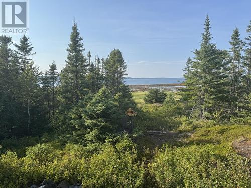 37 Tibbeys Point Road, Victoria Cove, NL - Outdoor With View