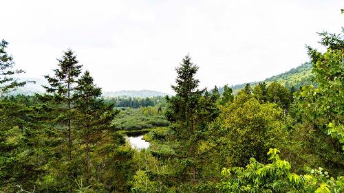 Overall view - 2180 Ch. De La Rivière, Val-David, QC 