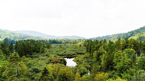 Vue d'ensemble - 2180 Ch. De La Rivière, Val-David, QC 