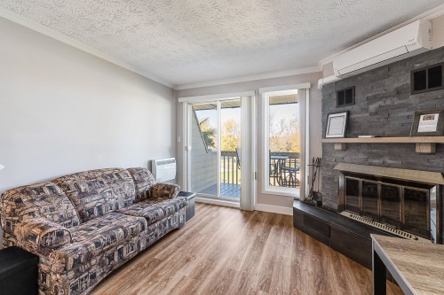 Salon - D-203-261 Rue Merry S., Magog, QC - Indoor Photo Showing Living Room With Fireplace
