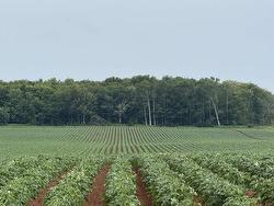 Baltic Road  Clyde River, PE C1A 8C3