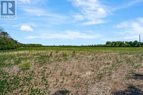 00 Loyalist Parkway, Prince Edward County (Hillier Ward), ON 