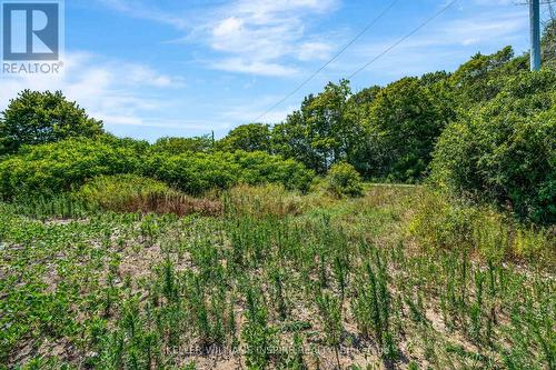 00 Loyalist Parkway, Prince Edward County (Hillier Ward), ON 