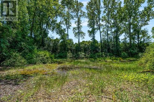 00 Loyalist Parkway, Prince Edward County (Hillier Ward), ON 