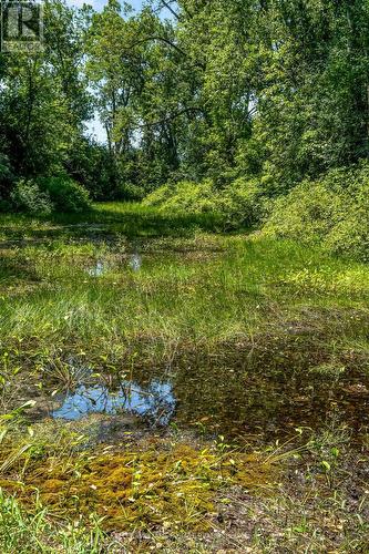 00 Loyalist Parkway, Prince Edward County (Hillier Ward), ON 