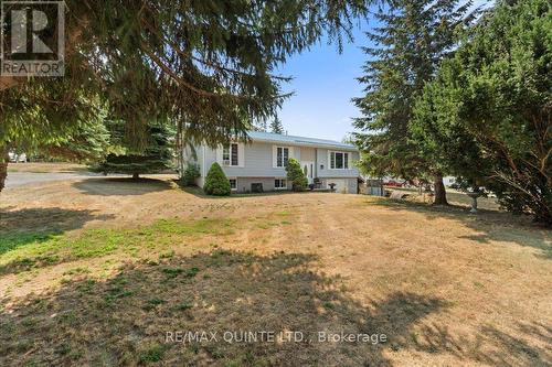 19 County Rd 18 Road, Prince Edward County (Athol Ward), ON - Outdoor