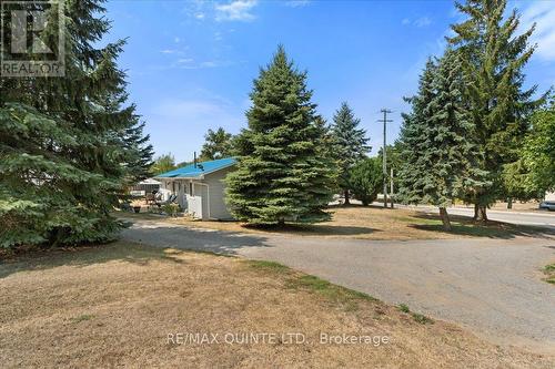 19 County Rd 18 Road, Prince Edward County (Athol Ward), ON - Outdoor
