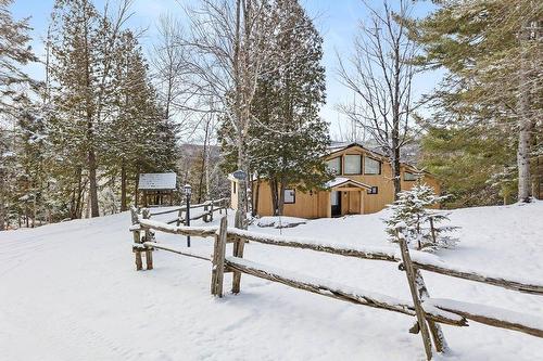 Frontage - 169 Ch. Du Lac-Ouimet, Mont-Tremblant, QC - Outdoor