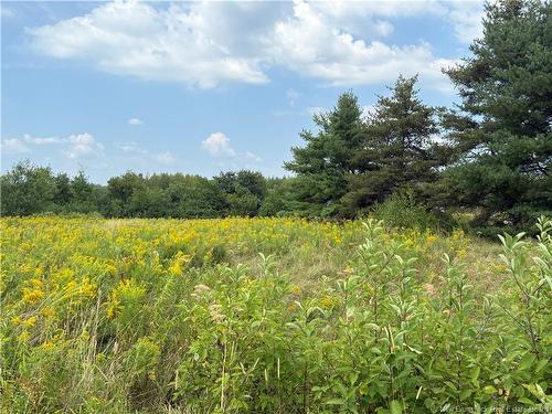 22-A Mcwilliams Rd, Salisbury, NB 