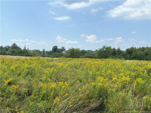 22-A Mcwilliams Rd, Salisbury, NB 