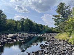 55 Zwicker Mill Road  New Germany, NS B0R 1E0