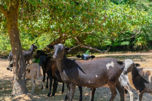 2601 Soole Rd, Duncan, BC 