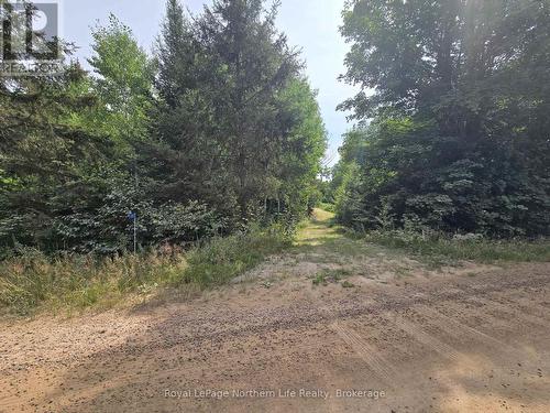 680 Mount Pleasant Road, Calvin, ON 