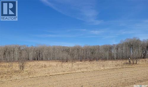 9 Lakeshore Drive, Saltcoats Rm No. 213, SK 