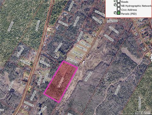 Lot Noble Rd, Nasonworth, NB 