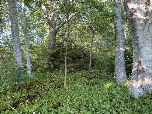 Lot Pid#70088364 Hillside Road, Brooklyn, NS 