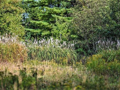 Lot 21-1 & -2 Wye Street, Mahone Bay, NS 