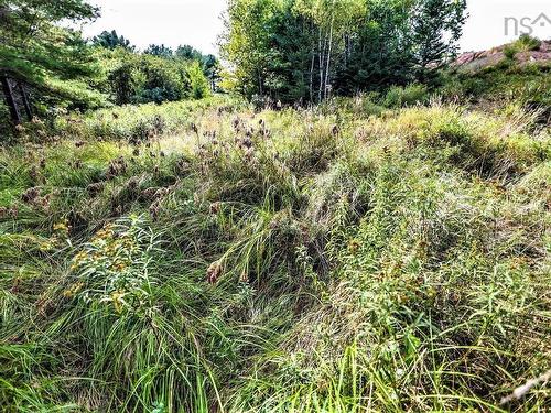 Lot 21-1 & -2 Wye Street, Mahone Bay, NS 