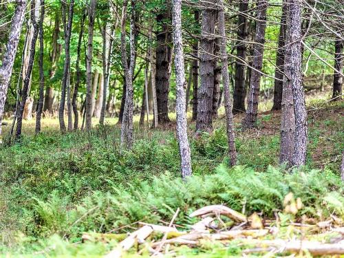 Lot 21-1 & -2 Wye Street, Mahone Bay, NS 