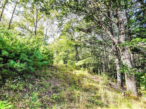 Lot 21-1 & -2 Wye Street, Mahone Bay, NS 