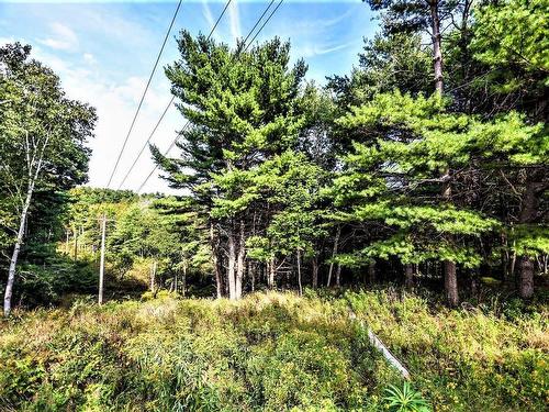 Lot 21-1 & -2 Wye Street, Mahone Bay, NS 