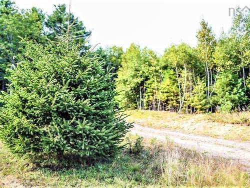 Lot 21-1 & -2 Wye Street, Mahone Bay, NS 