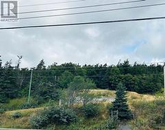 882-884 Main Road  Dunville Placentia, NL A0B 1W0