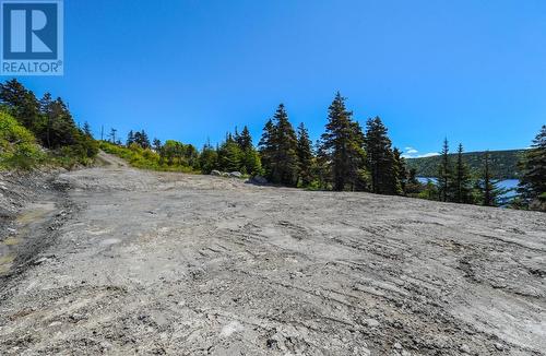 Lot 1  1313-1315 Main Road, Dunville/Harbour Drive, NL 