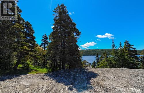 Lot 1  1313-1315 Main Road, Dunville/Harbour Drive, NL 