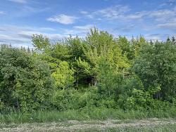 28 Parkland Place  Dalem Lake, NS B1Y 2X9