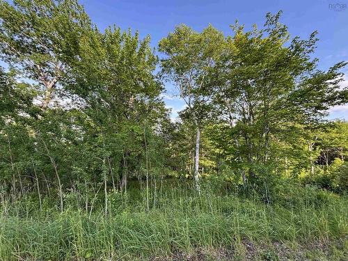 29 Parkland Place, Dalem Lake, NS 