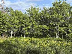 31 Parkland Place  Dalem Lake, NS B1Y 2X9