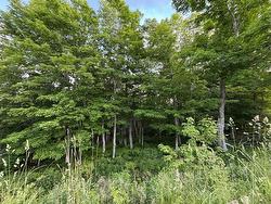 24 Parkland Place  Dalem Lake, NS B1Y 2X9