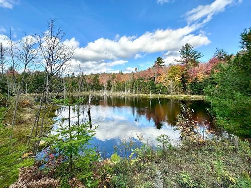 Vue sur l'eau - Rue Des Montagnes, Gore, QC 