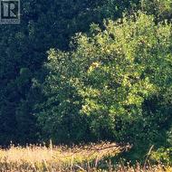 7020 GALLAGHER ROAD  Ottawa, ON K0A 2T0