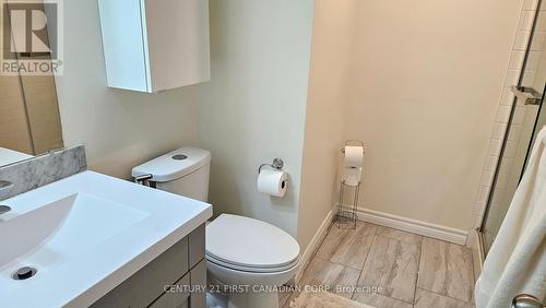 45 Locust Crescent, London South (South X), ON - Indoor Photo Showing Bathroom
