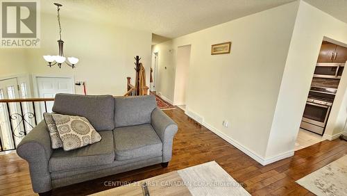 45 Locust Crescent, London South (South X), ON - Indoor Photo Showing Living Room