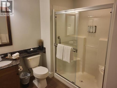 1200 Rancher Creek Road Unit# 147A, Osoyoos, BC - Indoor Photo Showing Bathroom