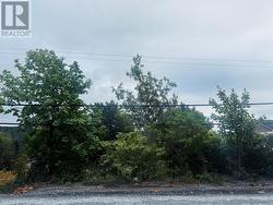 1253 Main Road  Dunville, NL A0B 1S0