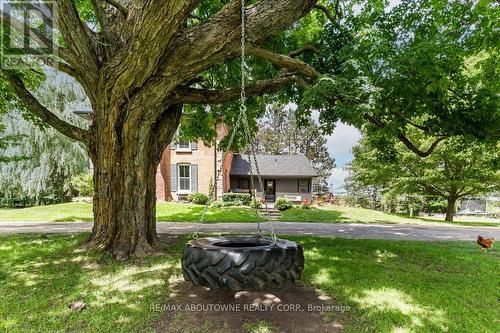 674217 Hurontario Street, Mono, ON - Outdoor