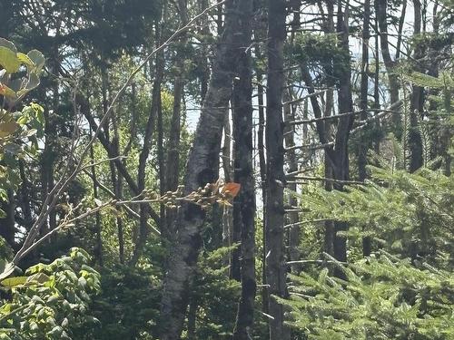 Lot 03-1 West Bay Road, West Bay, NS 