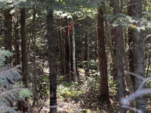 Lot 03-1 West Bay Road, West Bay, NS 