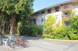 311-1009 McKenzie Ave  Saanich, BC V8X 4B1