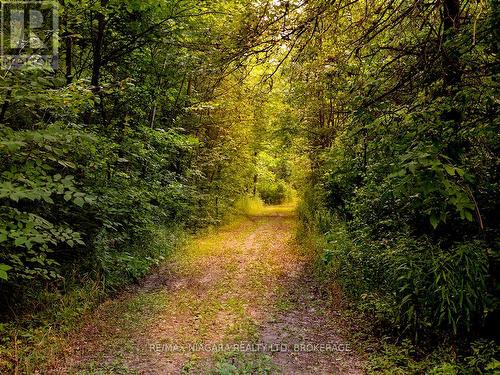 3481 Troup Road, Port Colborne (Bethel), ON - Outdoor