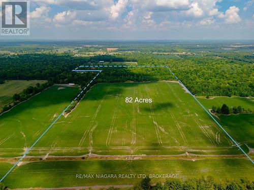 3481 Troup Road, Port Colborne (Bethel), ON - Outdoor With View